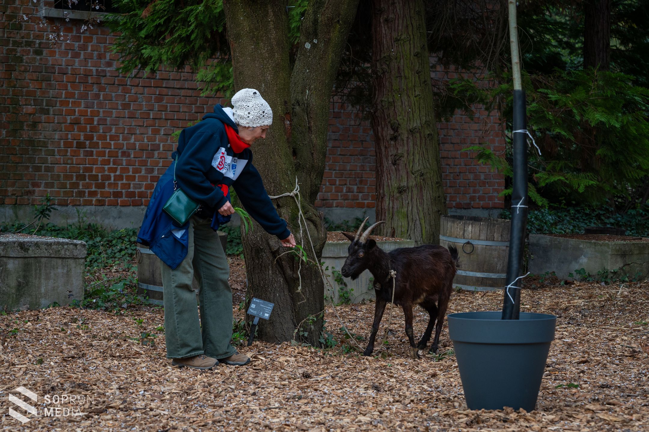 Idén is sokakat csábított a Soproni Egyetem botanikus kertjébe a hagyományos tojáskeresés!