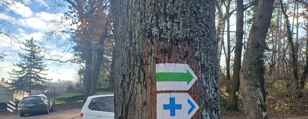 Megújultak a turistajelzések a Soproni-hegységben