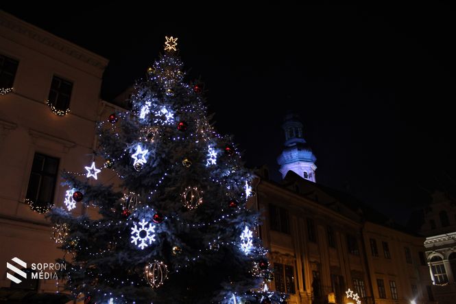 Sopron karácsonyfája, háttérben a Tűztoronnyal