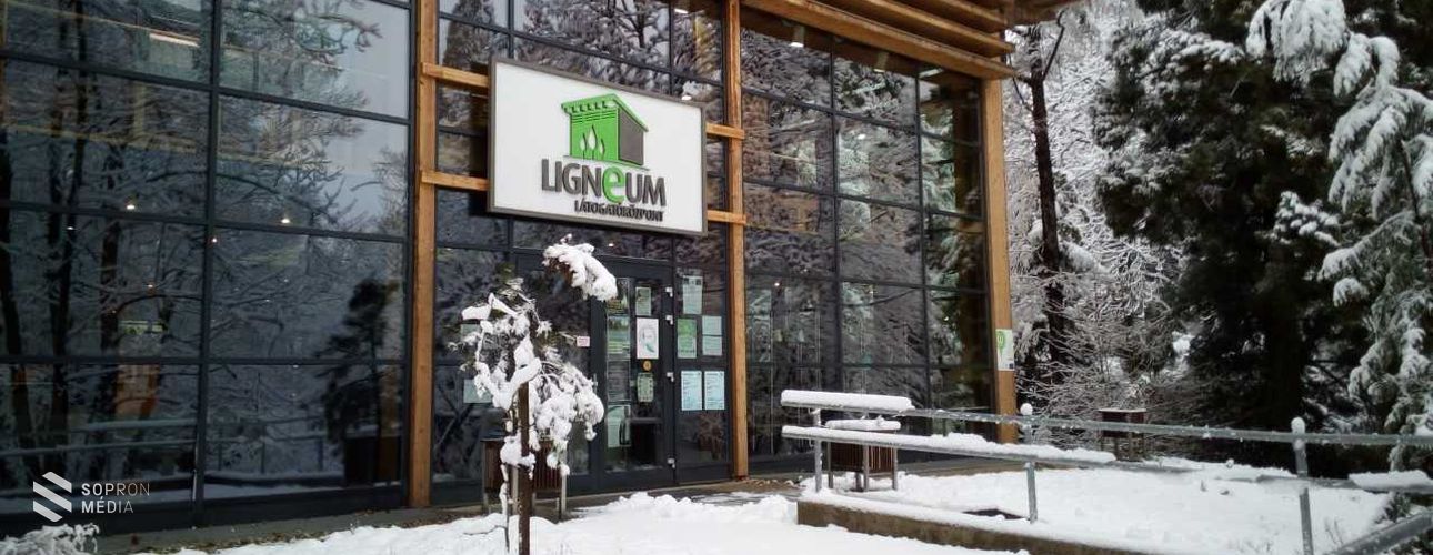 Új sorozat indul a Ligneumban: Tálentum