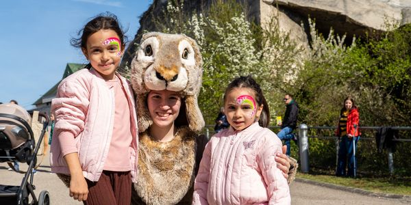 Itt szalad a nyulacska!