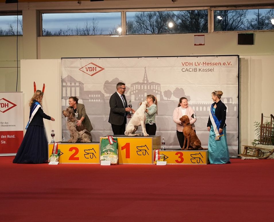 2026.01.11 - Kassel CACIB Show