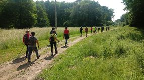 A Nordic Walking Sopron várja a mozogni vágyókat!