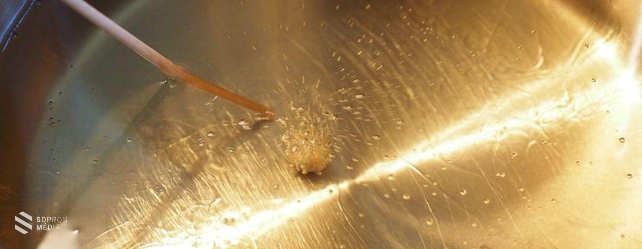 Több mint 1900 tonna használt sütőolajat gyűjtött össze a MOL