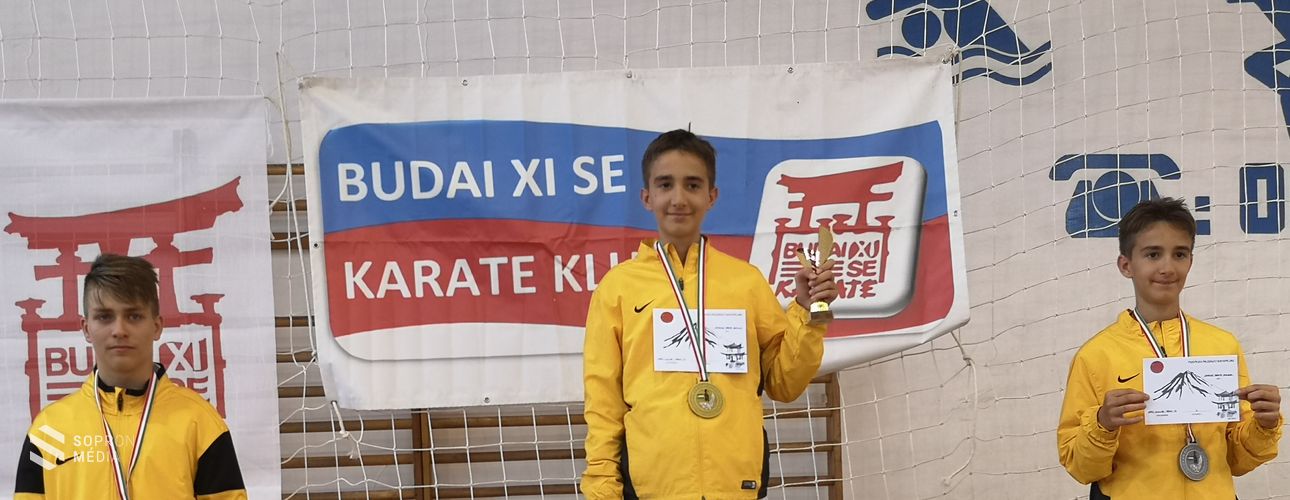 Szép eredményeket  értek el a Bushido-Viadukt SE sportolói