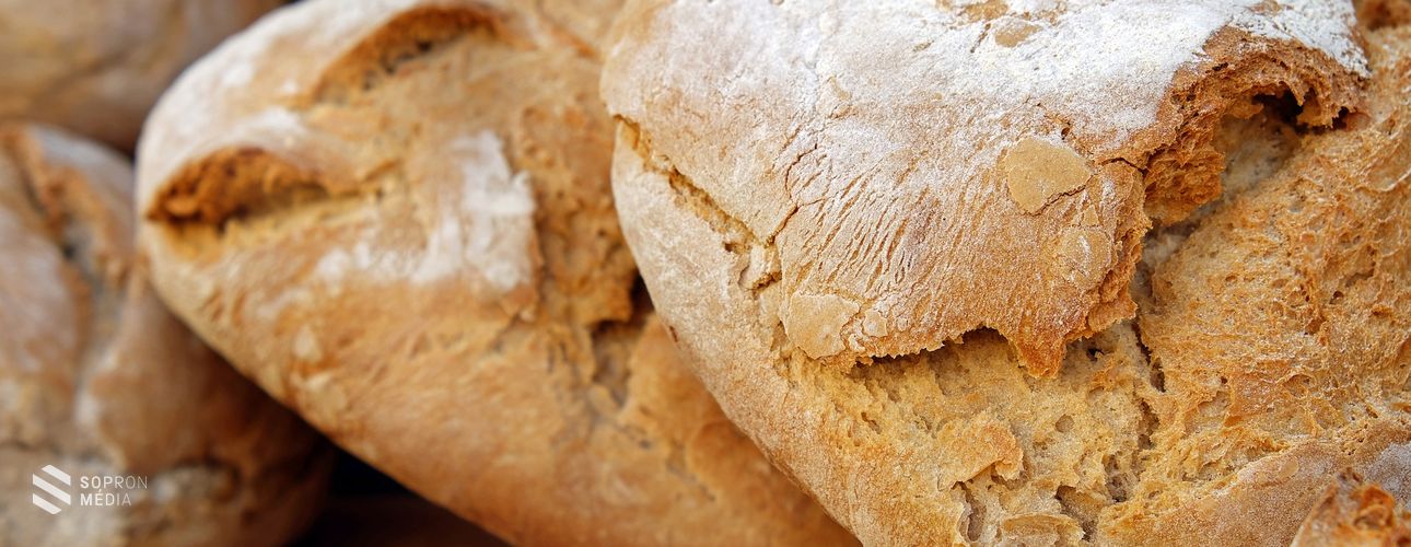 A magyar élelmiszeripar képes a lakosság folyamatos ellátására