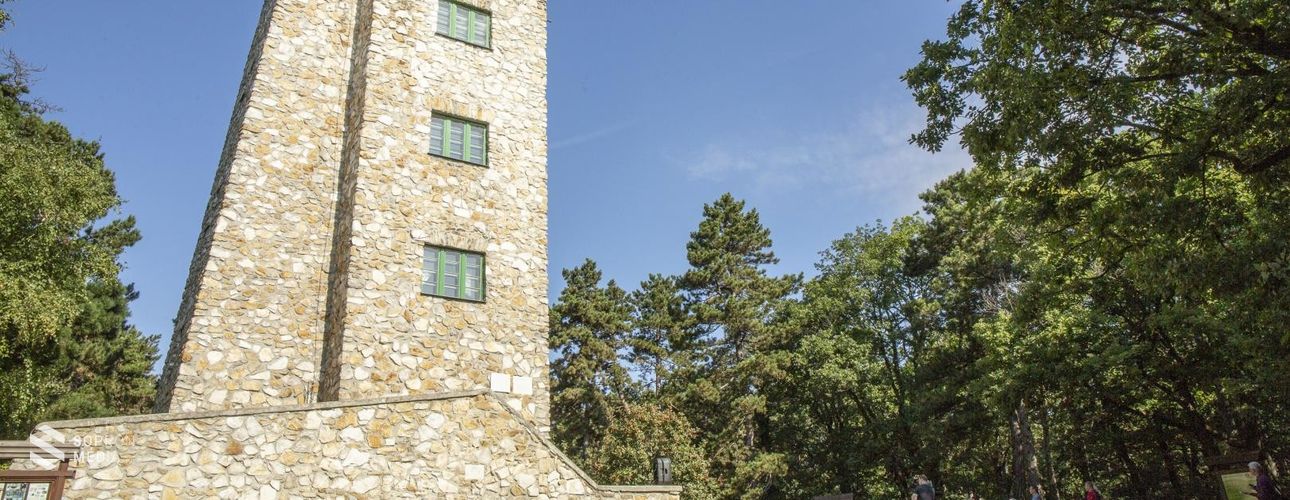 Sokan kirándultak a hétvégén a Sopront övező erdőkben 