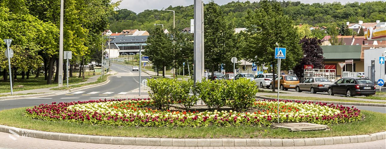 Mintegy 93 ezer egynyári virágot ültettek el Sopron közterületein!