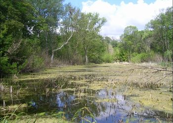Kastélypark Borsodivánka