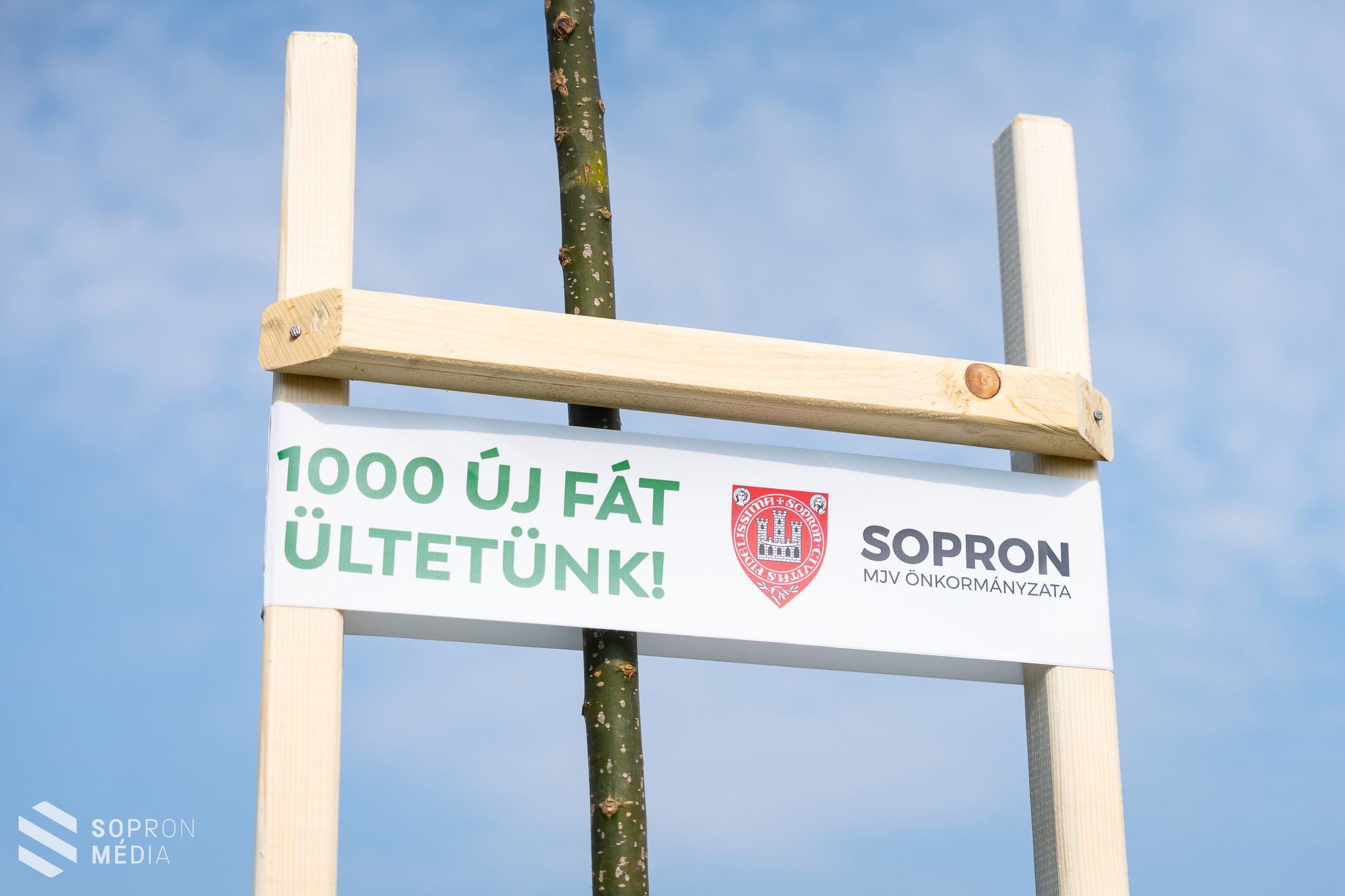 Faültetési program: 12 új fával gazdagodott a Kőszegi út