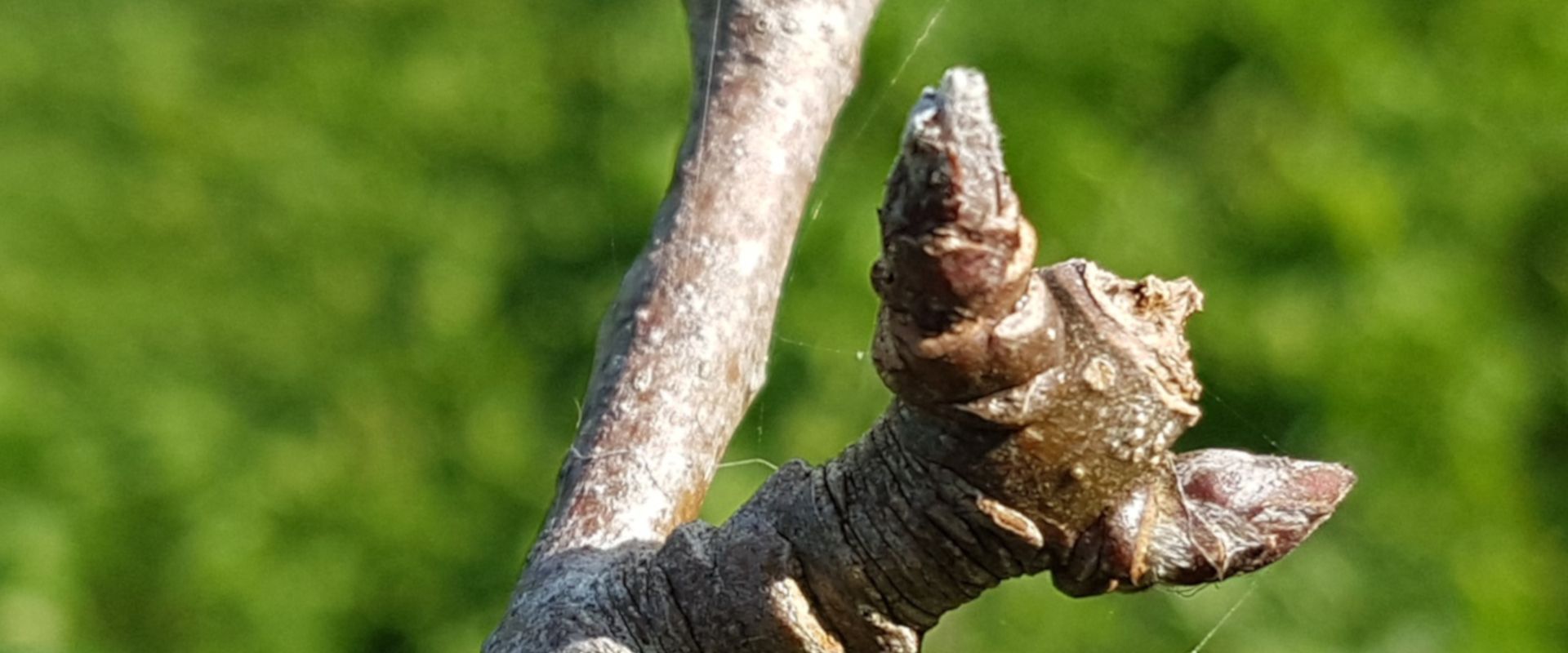 Agrofil-SZMI Kft.