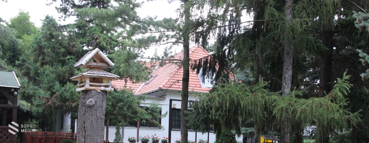 Szent Margit mellett Szent Orsolya védelmében