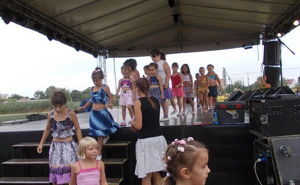 24. Falunap 2013. augusztus 10.