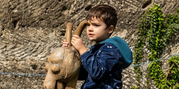 Itt szalad a nyulacska!