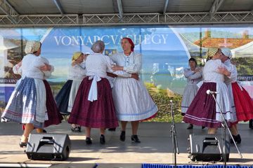Vonyarcvashegy