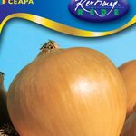 Vöröshagyma Radar (Áttelelő) 1 g termék képe
