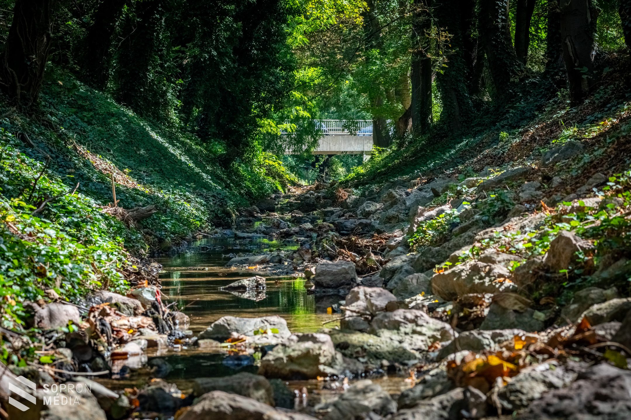 Tudták, hogy az Erzsébet-kert hazánk egyik legrégebbi közparkja?