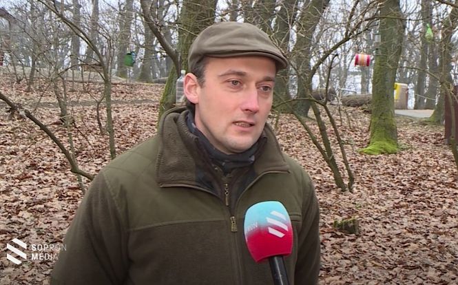 Dr. Takács Viktor