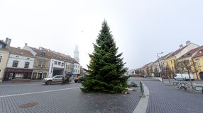 Új helyen a város karácsonyfája - Galéria