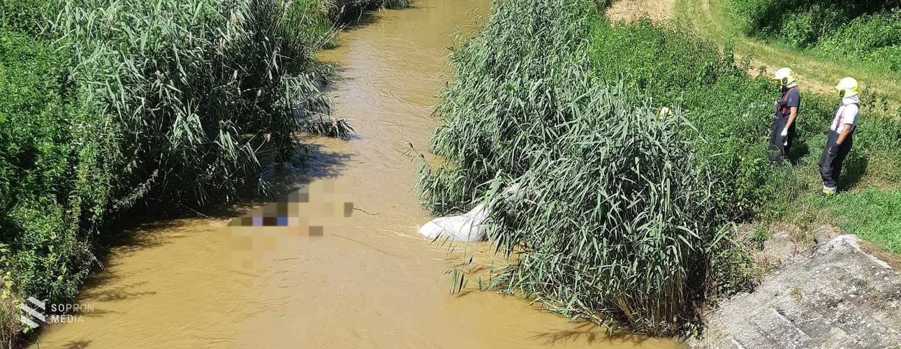 Lovakat mentettek ki a vízből a répcelaki tűzoltók