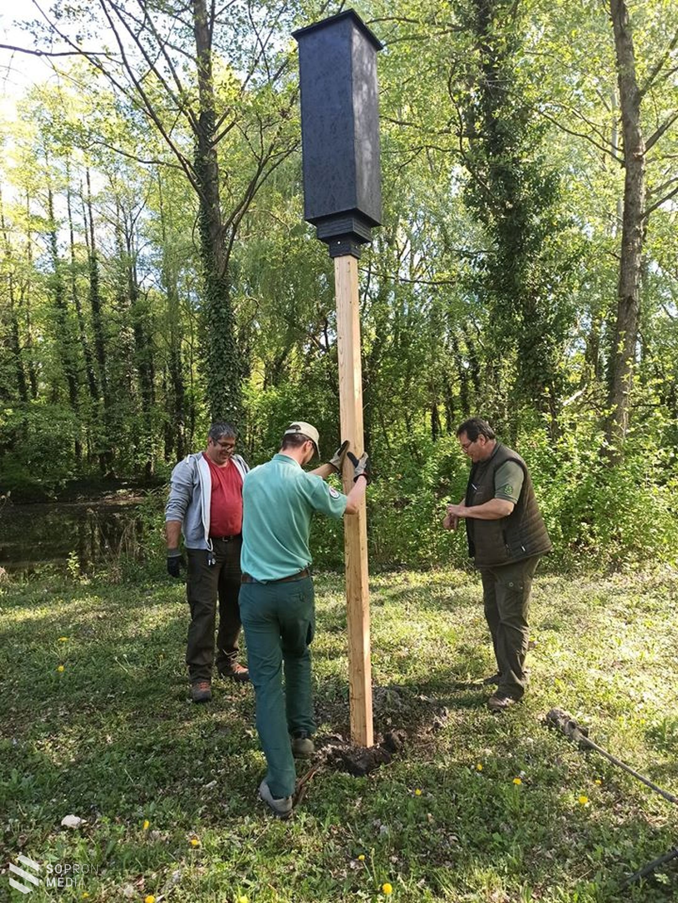 Rendkívüli küzdelmet vívnak a nemzeti park szakemberei a denevérekért