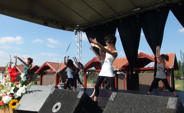 25. Falunap 2014. augusztus 9.