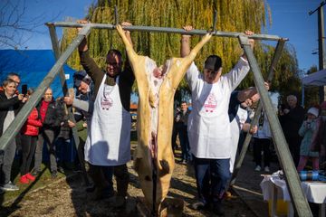 Vonyarcvashegy