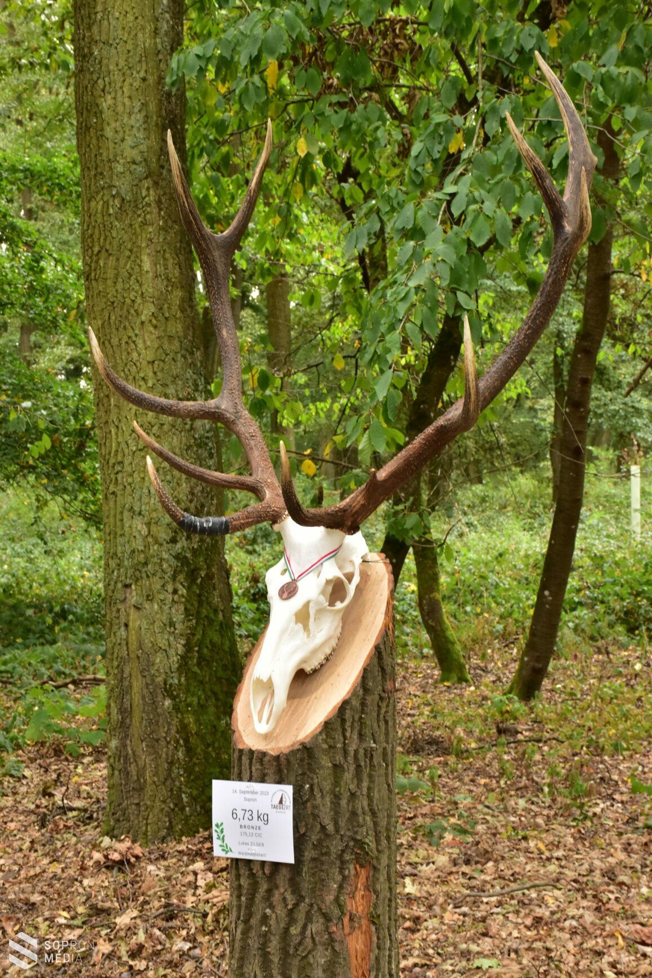 Trófeamustra a TAEG Zrt.-nél