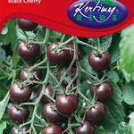 D. Koktélparadicsom Black cherry 0,5 g termék képe