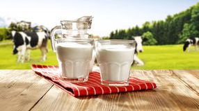 Június 1. a tej világnapja