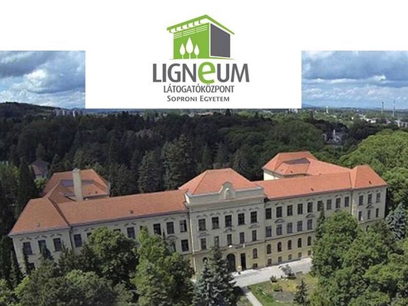 Professzor Plusz program Fábián Attilával