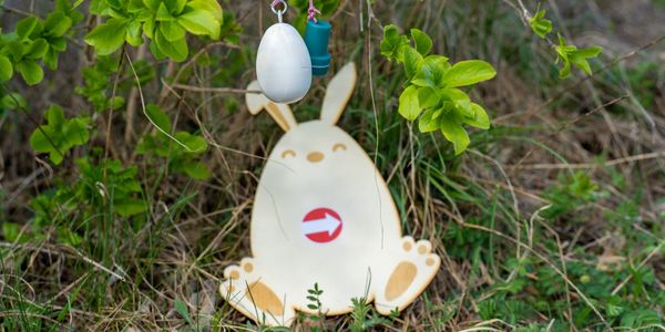 Itt szalad a nyulacska!