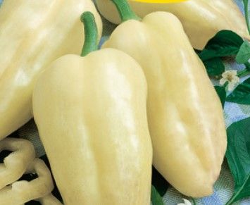 Étkezési paprika Amy  5 g