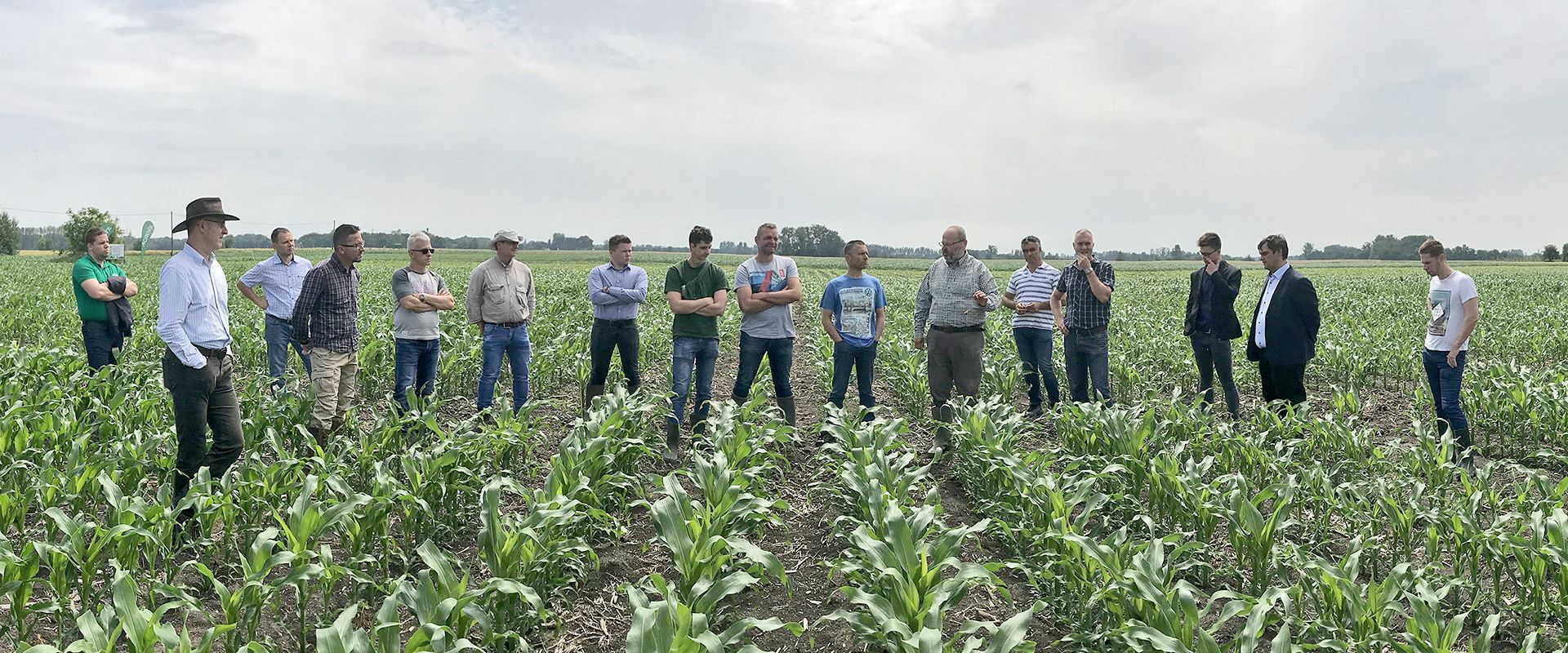 Agrofil-SZMI Kft.
