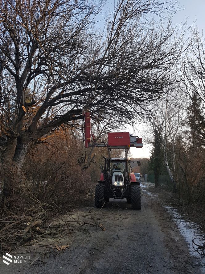 Megtisztították a belógó ágaktól, bokroktól a Fehér utat