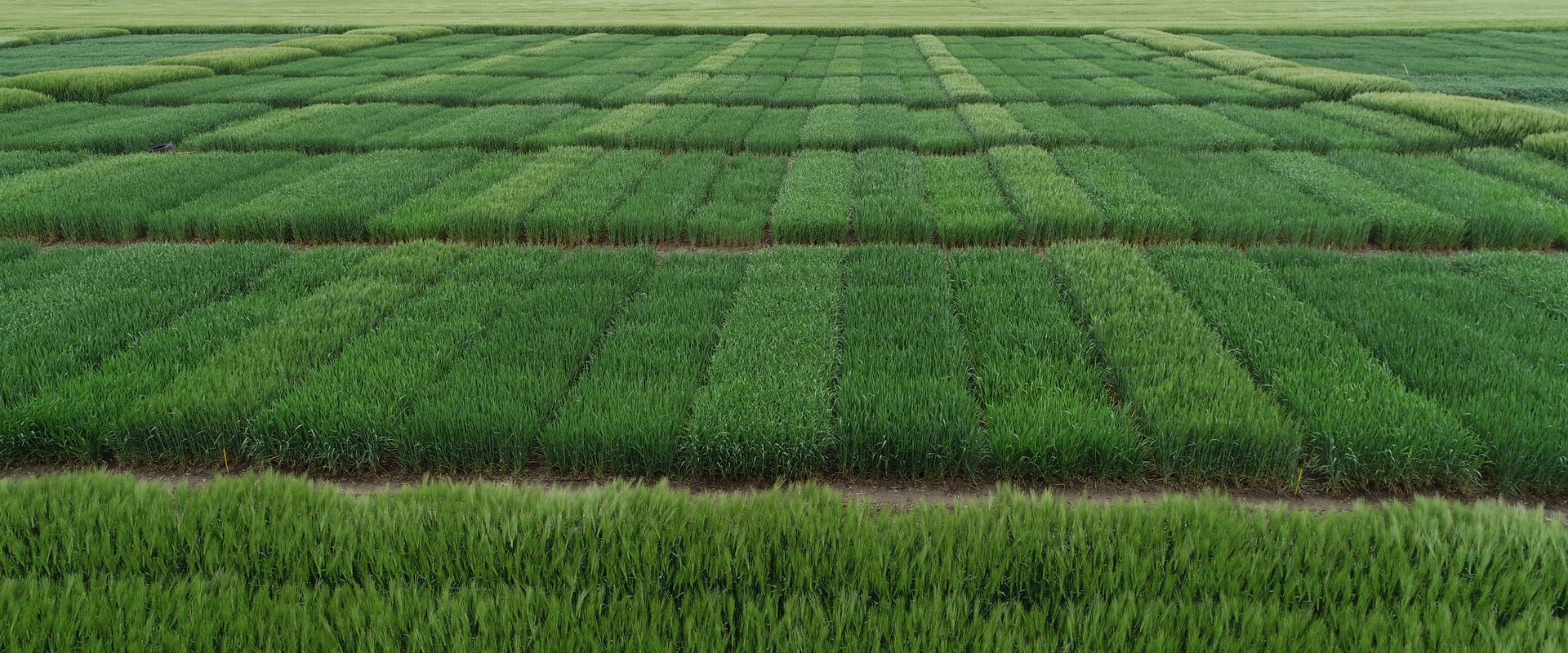Agrofil-SZMI Kft.