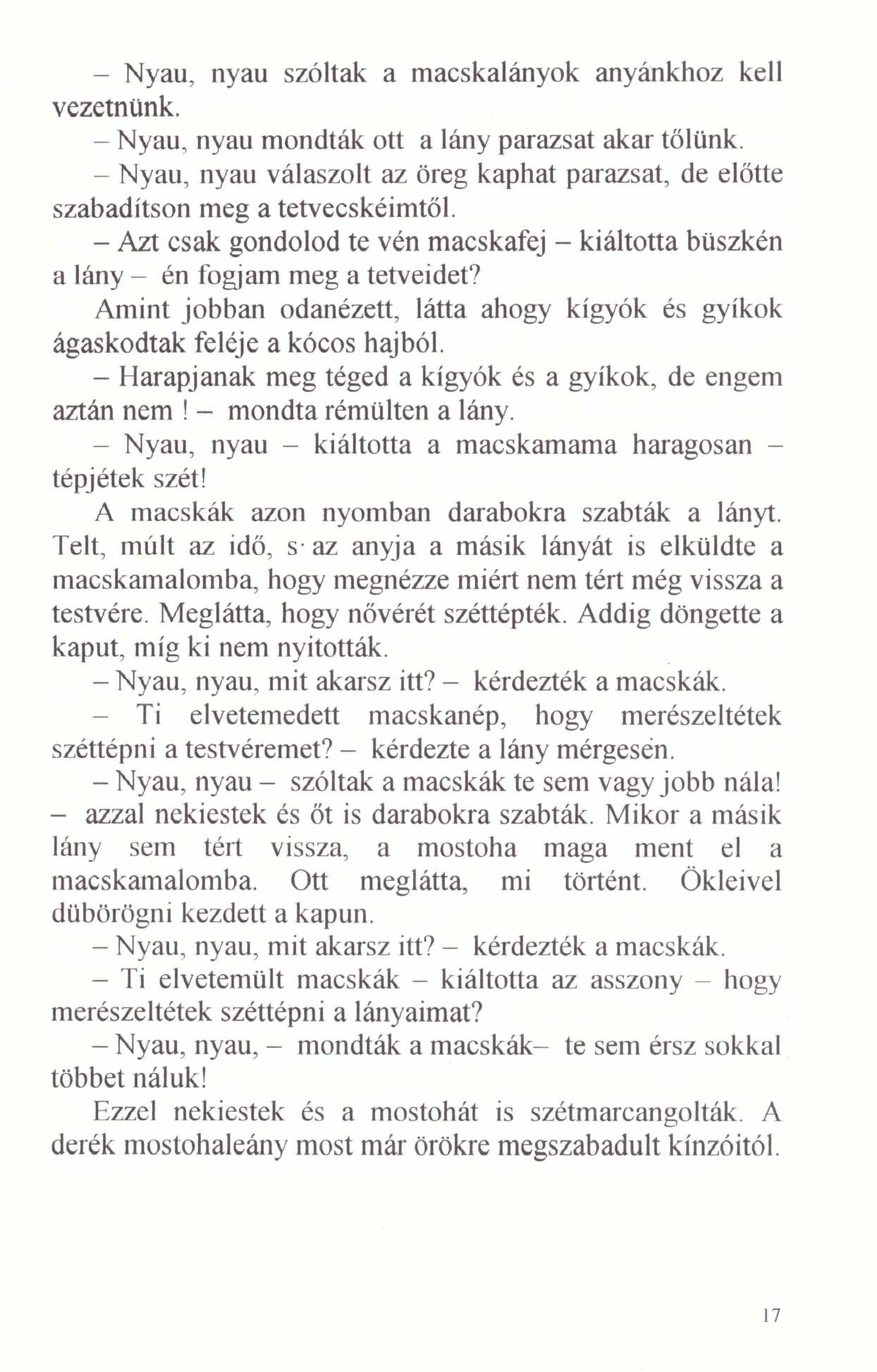 Kern Tóbiás, a soproni mesélő utcaseprő