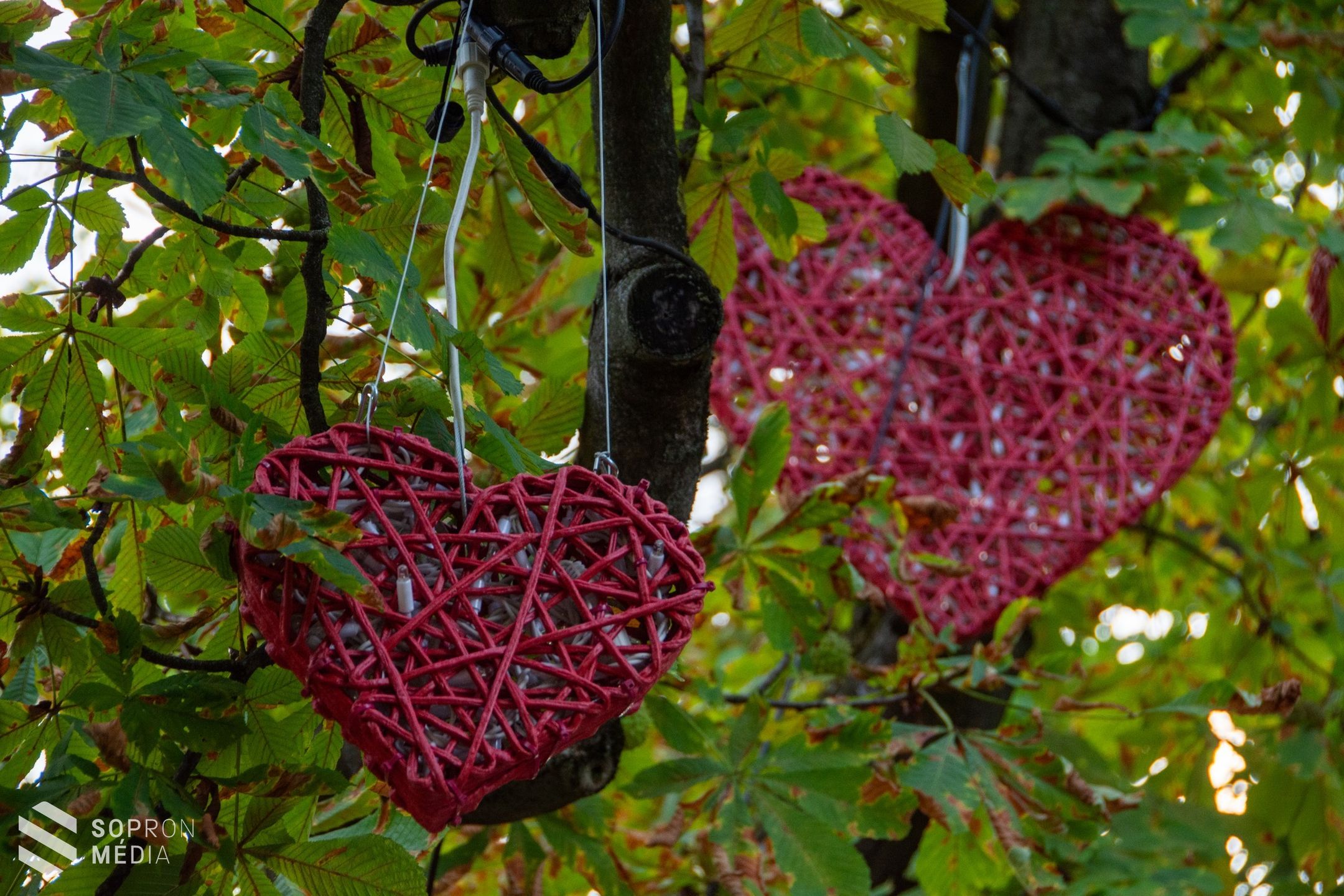 Ma kezdődik a Soproni Szüreti Napok, fontos információkat tettek közzé a szervezők!