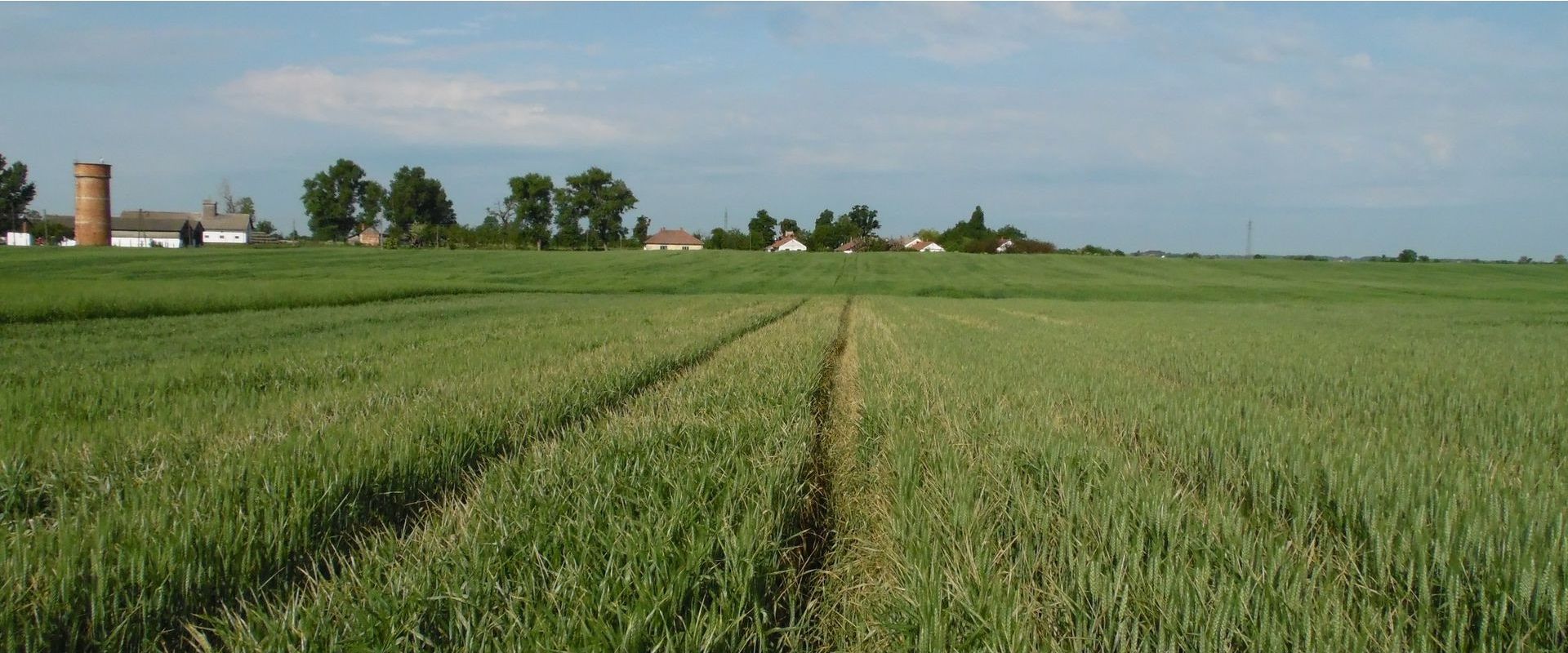 Agrofil-SZMI Kft.