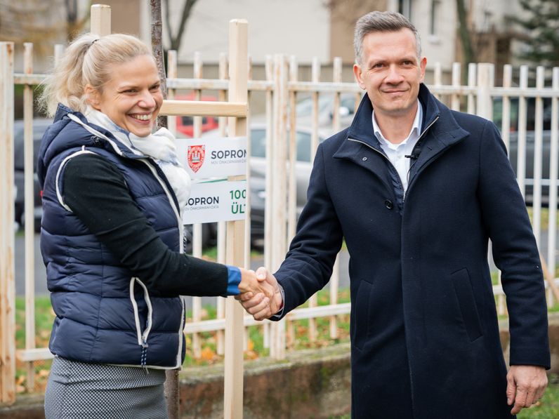 Elültették a 100. új fát Sopronban