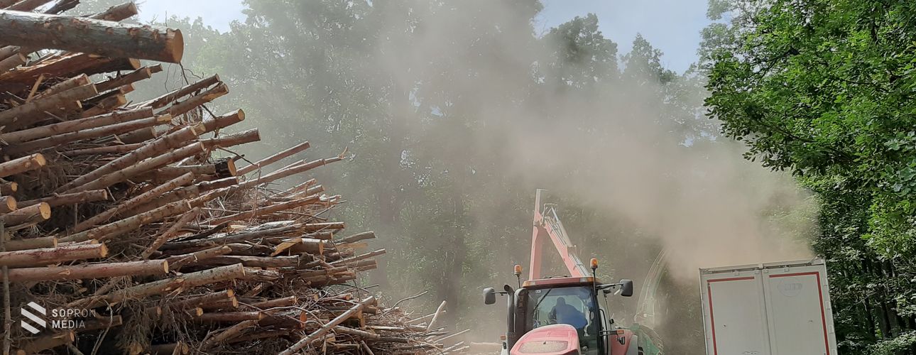 Nem volt tűz a Soproni Parkerdőben – tévesen riasztották a katasztrófavédelmet