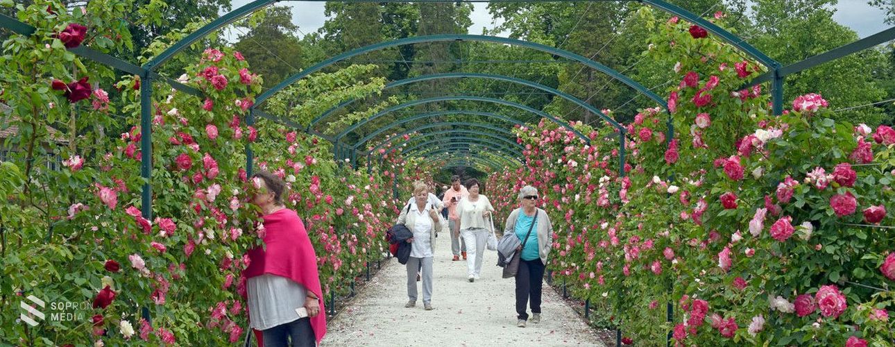 Eszterháza: Idényzáró rózsakerti séták 
