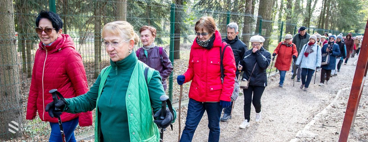 Az idősekért végzett munkájáért kapott elismerést dr. Amberger Erzsébet