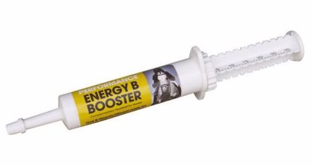 EQUIMINS ENERGY B BOOSTER -B-vitamin energia paszta 30 ml