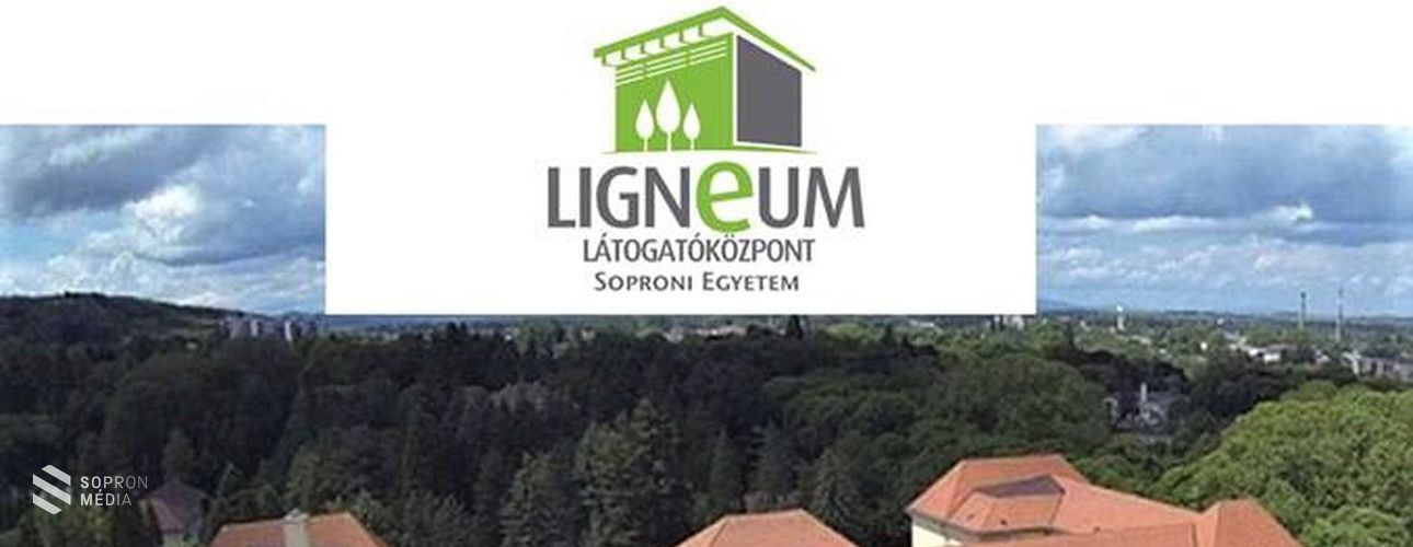 Professzor Plusz program Fábián Attilával