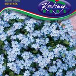 Nefelejcs alacsony s.kék 0,25g termék képe