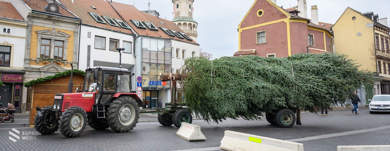Megérkezett a város karácsonyfája a Várkerületre!