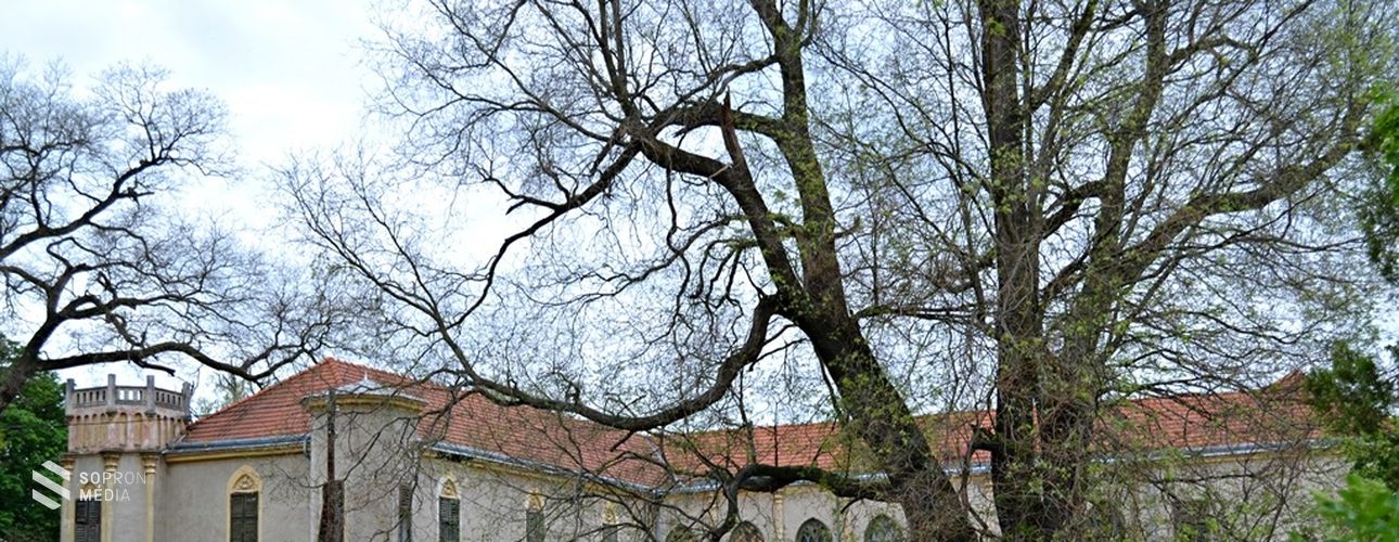 Lidérces kastély egy rábaközi falu közepén: Egyed és főurainak különös története