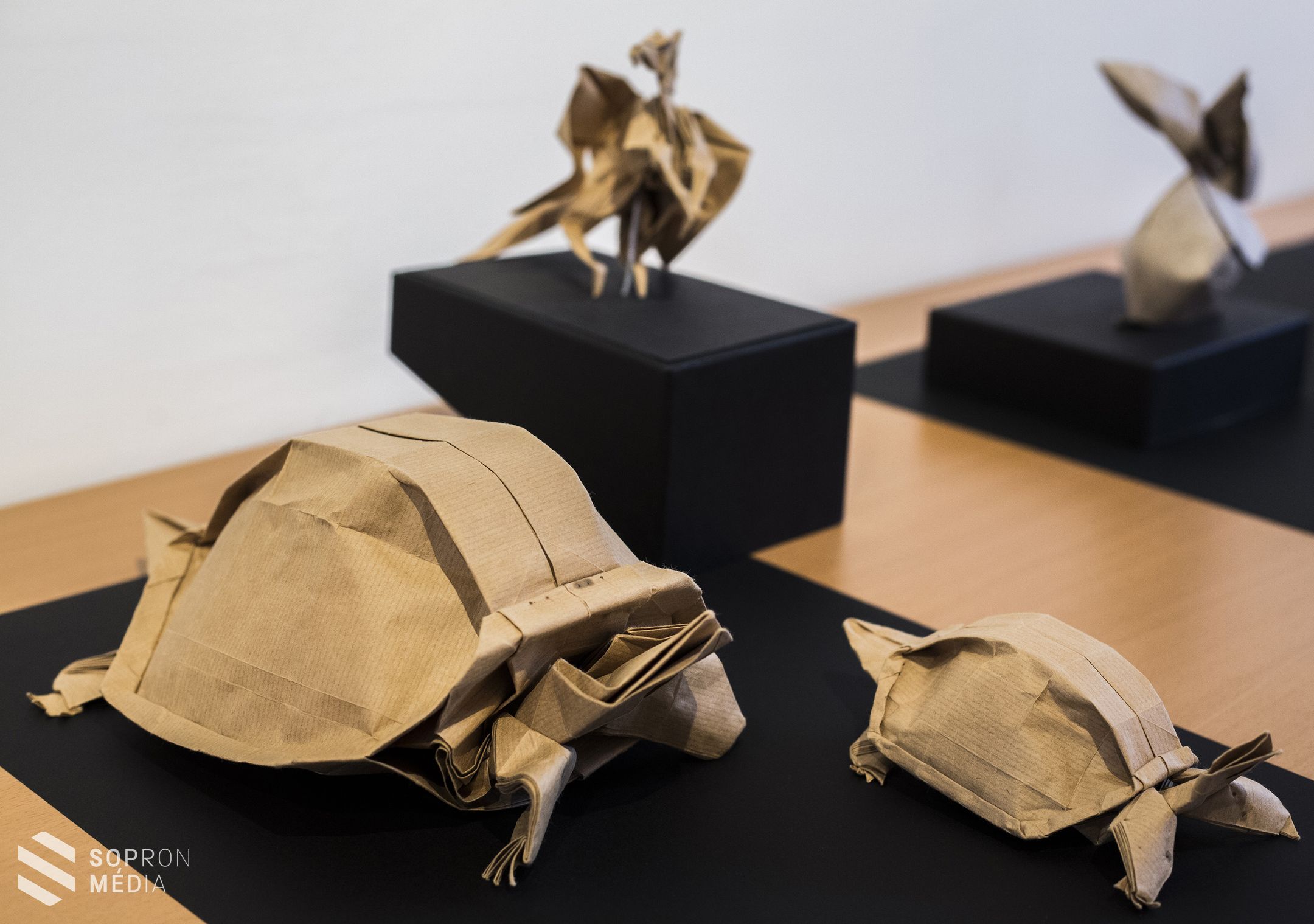 Az Origami Csodálatos Világa