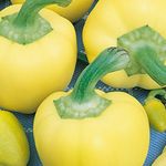 Paprika Édesalma 5 g termék képe